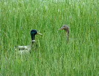 K1600_bike ride 053016 1.webp