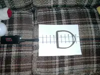 penny 002.webp