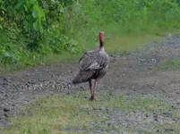 DSCN1824.webp
