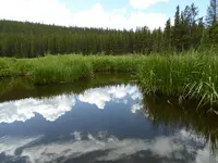 070516 2.webp