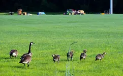 DSCN1839.webp