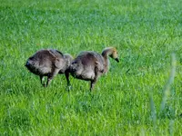 DSCN1840.webp