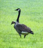 DSCN1843.webp