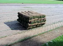 DSCN1875.webp
