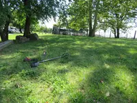 IMG_4590.webp