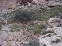 100_8052.webp