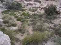 100_8053.webp
