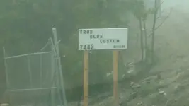 trueblue1.webp