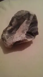 1465455556561.webp