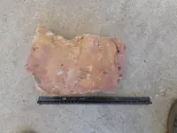 DSCN1334.webp
