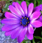 DSCN0276.webp