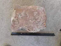 DSCN1335.webp