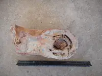 DSCN1337.webp