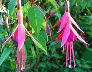 DSCN0280.webp