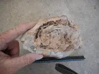 DSCN1339.webp