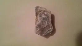 1465456101771.webp