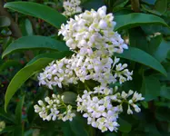 DSCN0282.webp