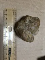 ImageUploadedByTreasureNet.com1463450050.263962.webp