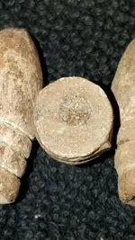 Pistol Bullet.webp