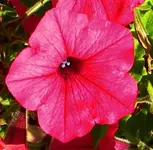 DSCN0289.webp