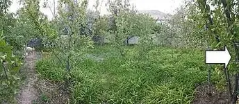 20160624_195226.webp