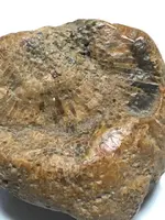 ImageUploadedByTreasureNet.com1463450124.106542.webp