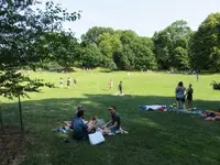 IMG_4496.webp IMG_4496.webp