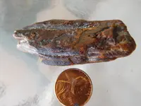 dscn0747.webp