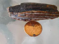 dscn0748.webp