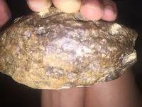 image.webp