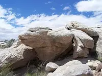 100_8051.webp