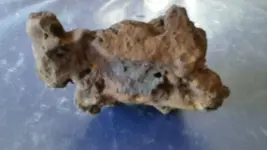 20160618_171551.webp