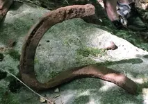 Horseshoe3.webp Horseshoe3.webp