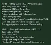 guitar KG-11.webp