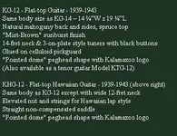 guitar KG-12.webp