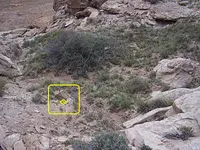 100_8052.webp