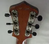 guitar DK number.webp