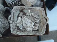 DSCF2113.webp