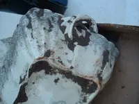 DSCF2116.webp
