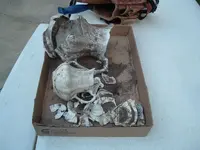 DSCF2122.webp