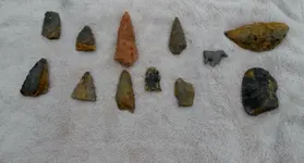 DSCN2071.webp