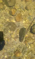 20160608_112806.webp