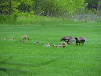 DSCN1074.webp