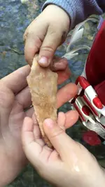 ImageUploadedByTreasureNet.com1463504702.328283.webp