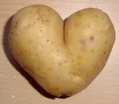ImageUploadedByTreasureNet.com1468514236.085953.webp