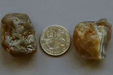 Agate-2016-07-06-Img_2705SSS.webp