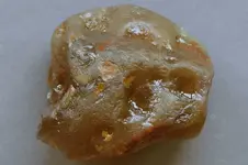 Agate-2016-07-06-Img_2708SSS.webp