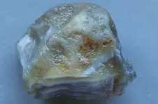 Agate-2016-07-06-Img_2709SSS.webp
