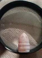 IMAG1113.webp IMAG1113.webp