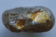Agate-2016-07-06-Img_2713SSS.webp